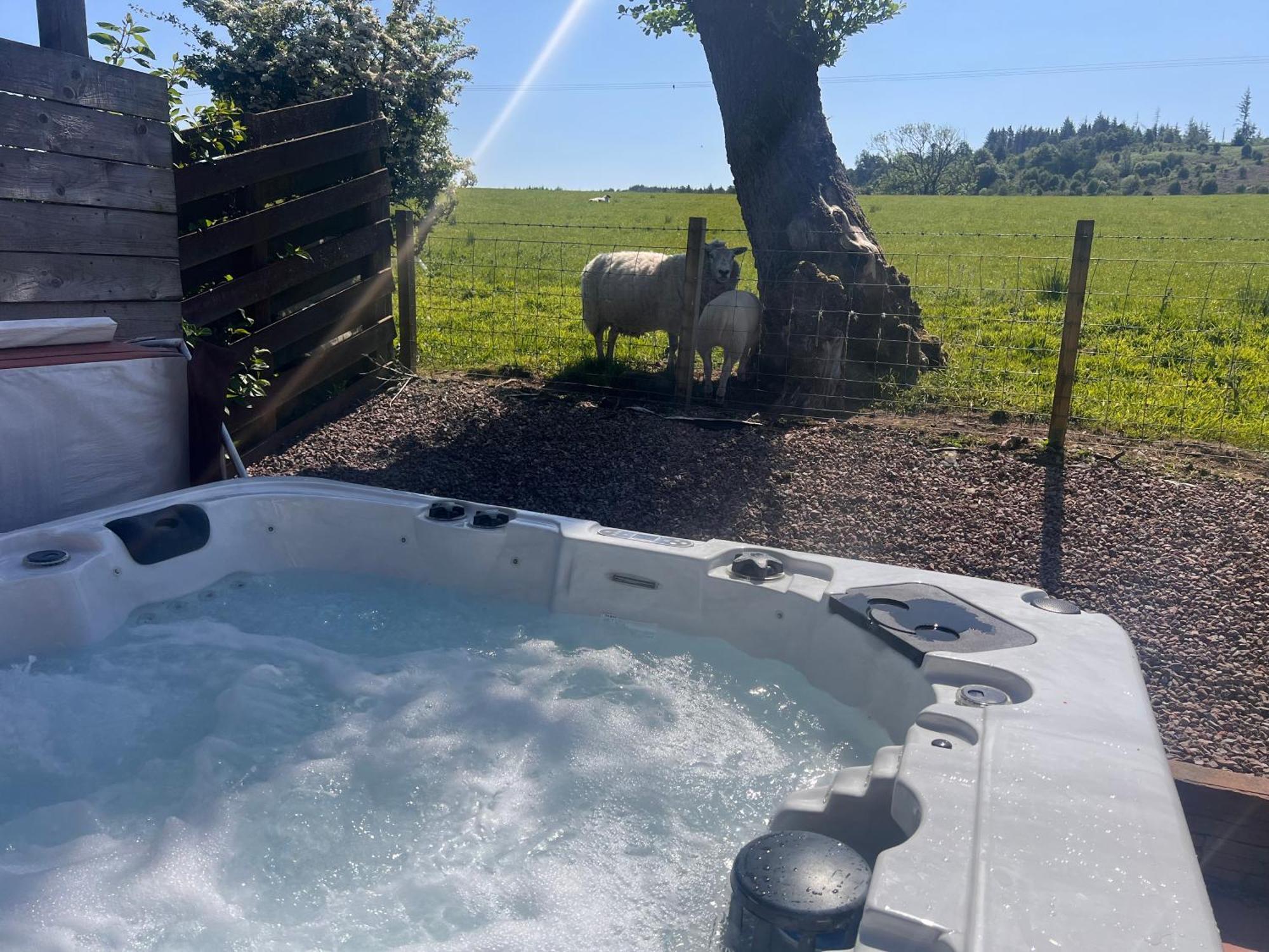 Woodlane Lodge With Private Hottub & Pool Table Dumfries Exterior foto